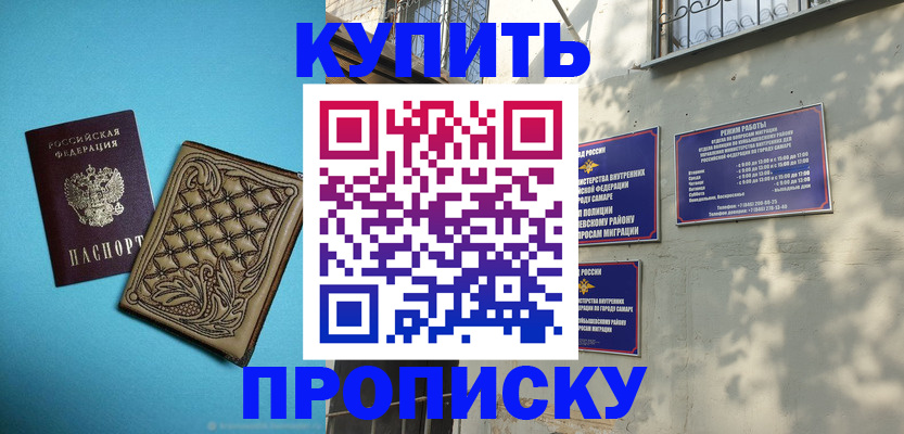 прописка 2025 в Сольцах